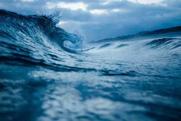 Avery Garcia's cover