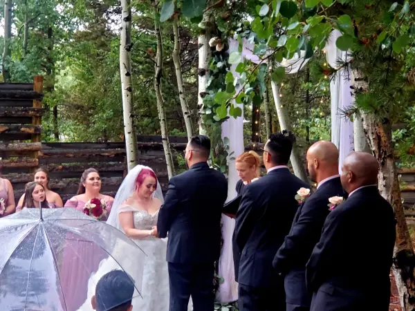 Zaztatic Ace Wedding's cover