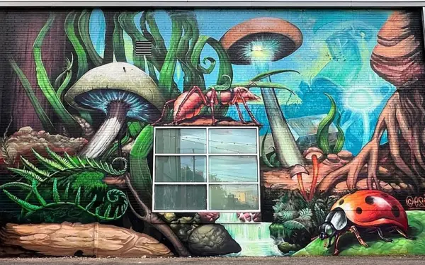 Big Little World
